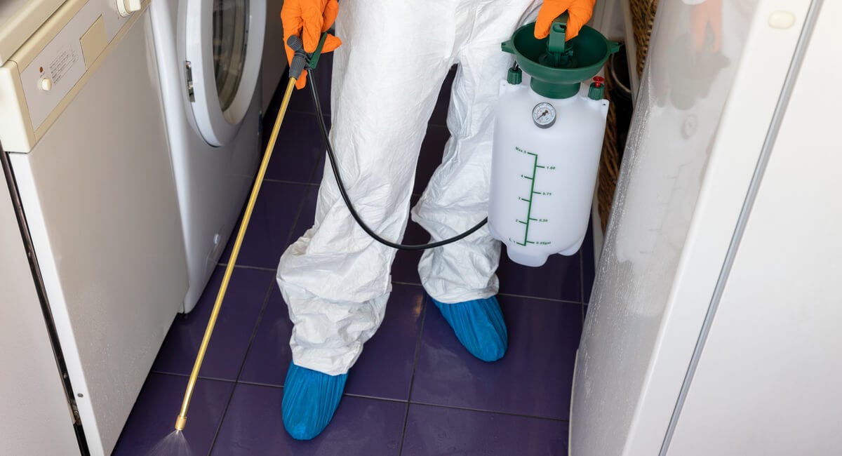 Eco-Friendly Pest Management