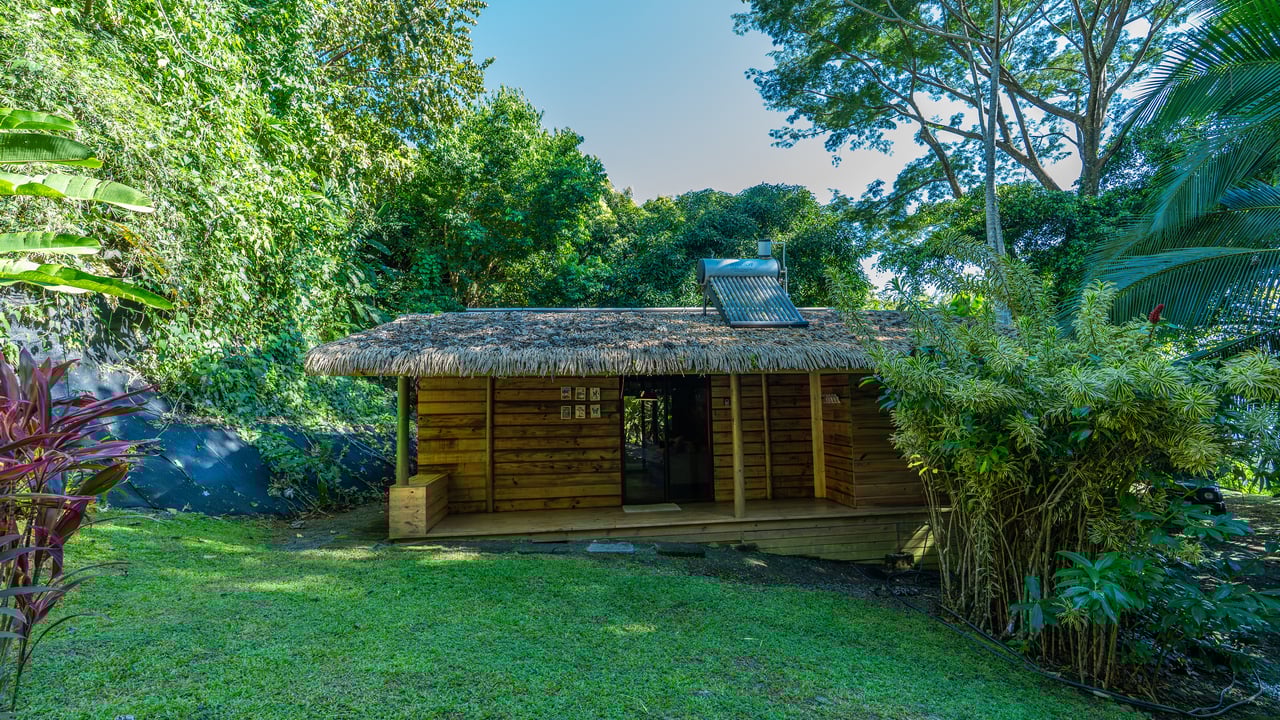 Ocean View Luxury Estate with An Incredible Location in Dominical