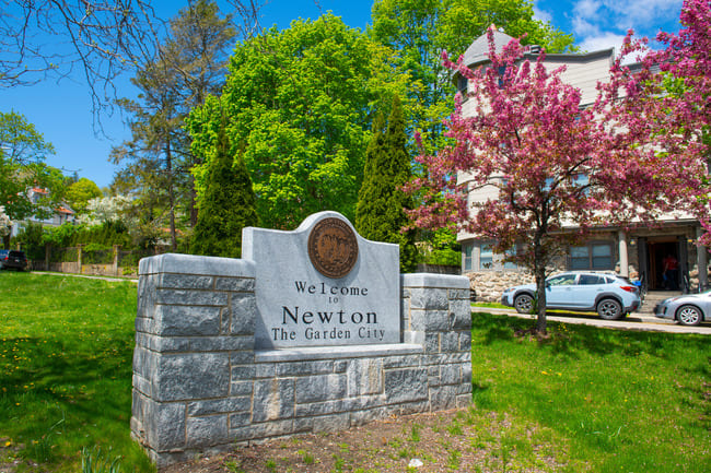 Newton