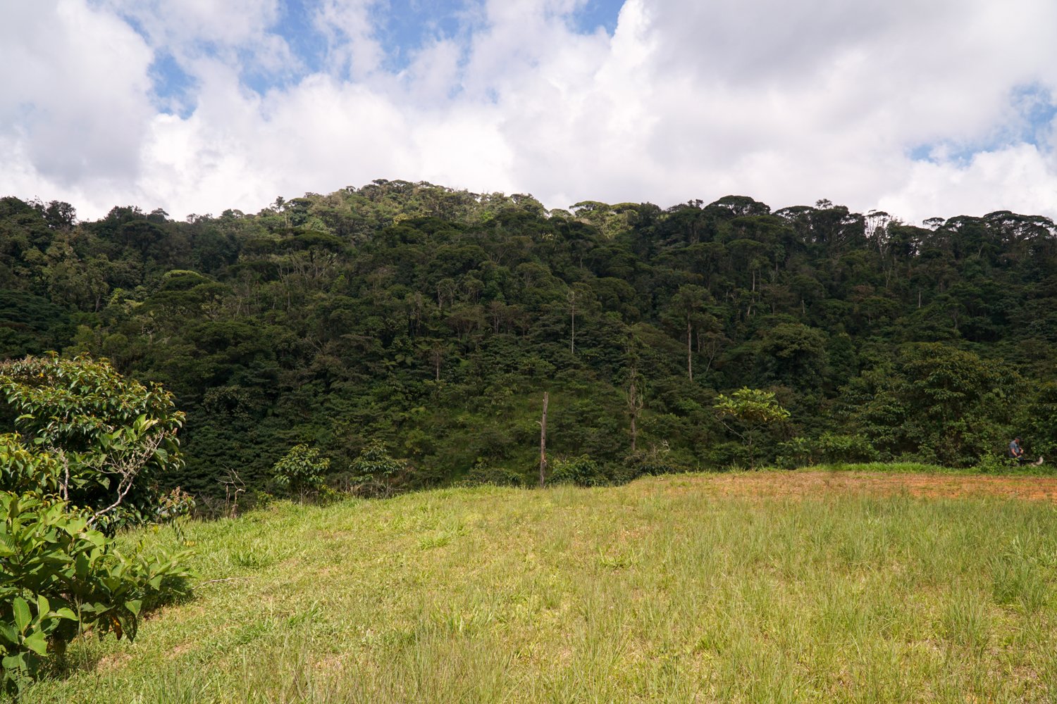 REDUCED! 77-Acre Mountain Paradise with Waterfalls & Epic Views in Santa Elena 