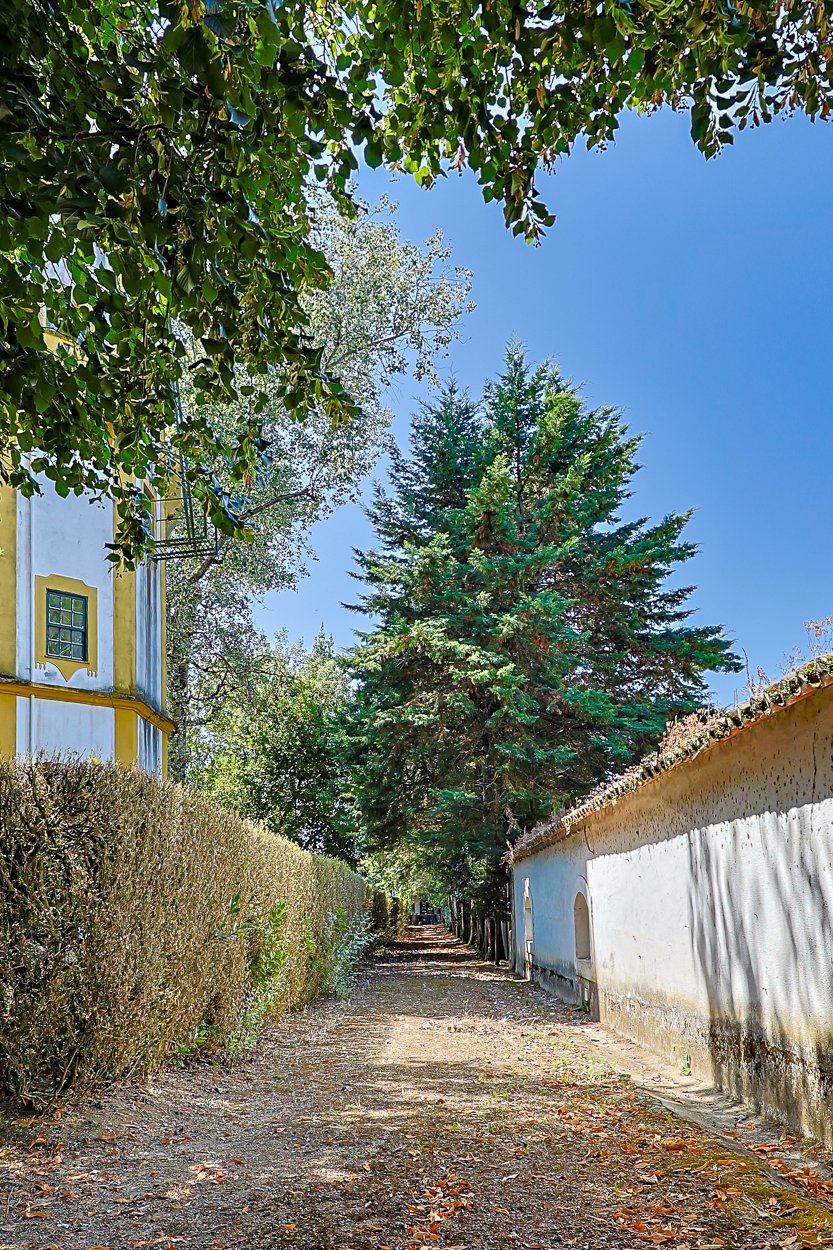 Magnificent 17th-Century Palace with  76,400 m² Estate Near Coimbra
