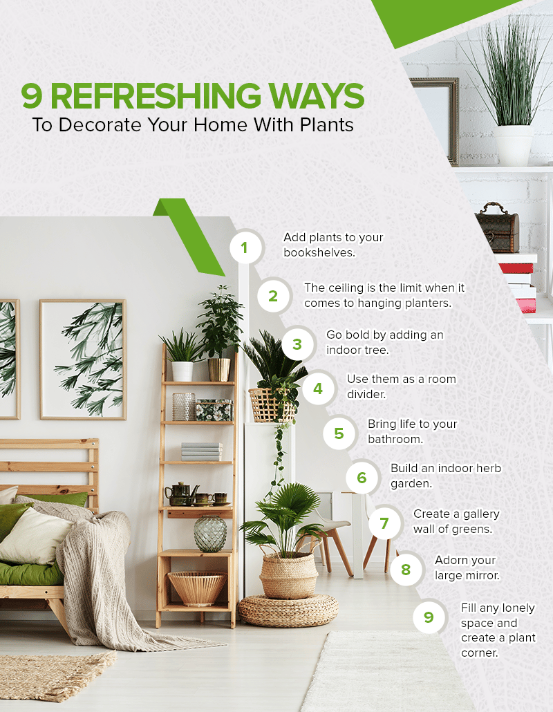 Infographic with nine ideas for decorating a home with plants, shown beside a bright room filled with greenery.