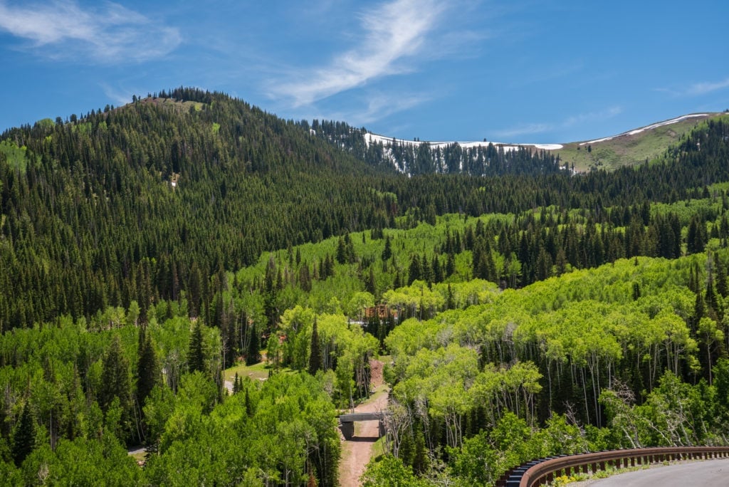 Dream Home: 74 White Pine Canyon Road