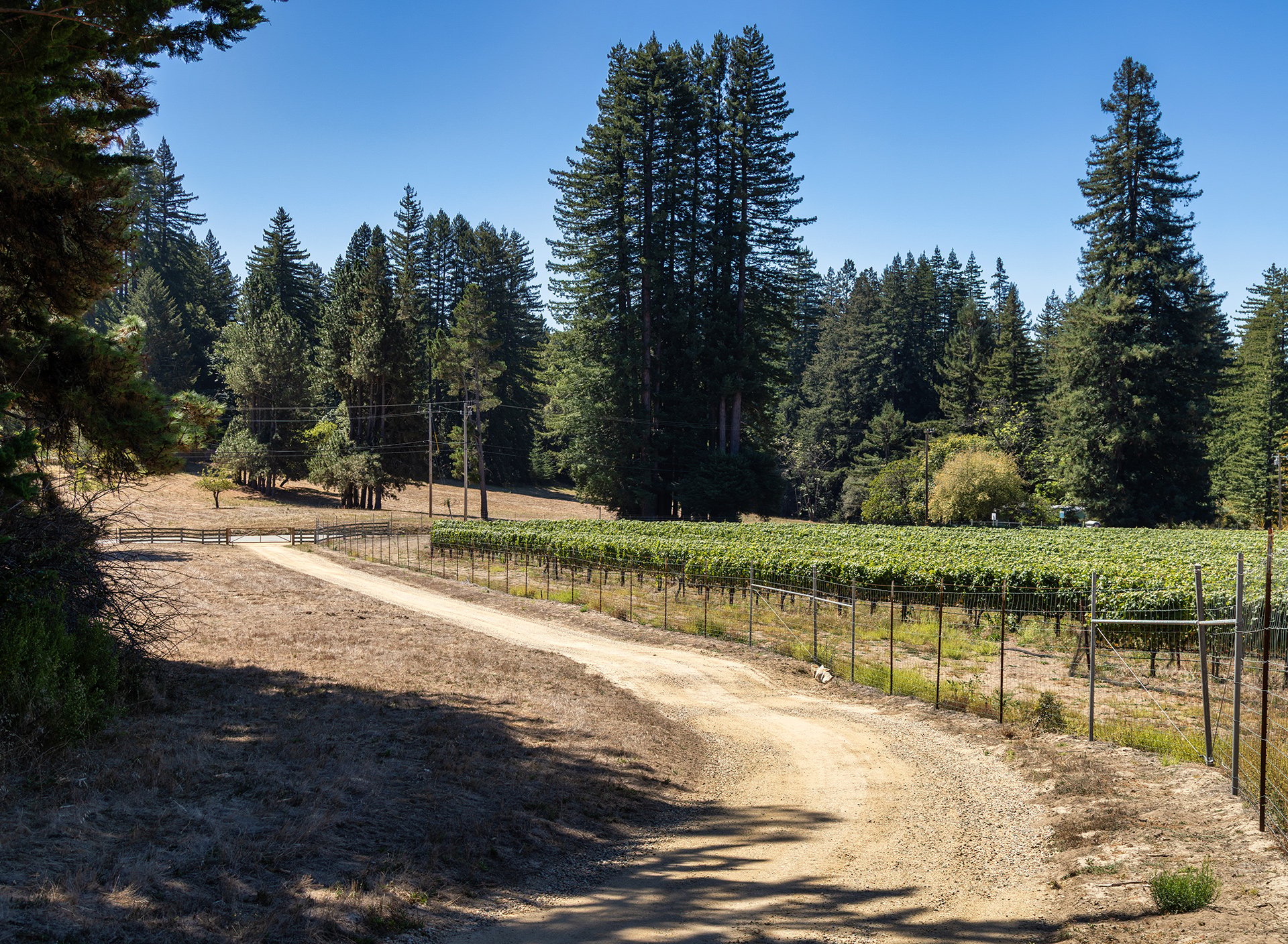 Santa Cruz Vineyard & Horse Property