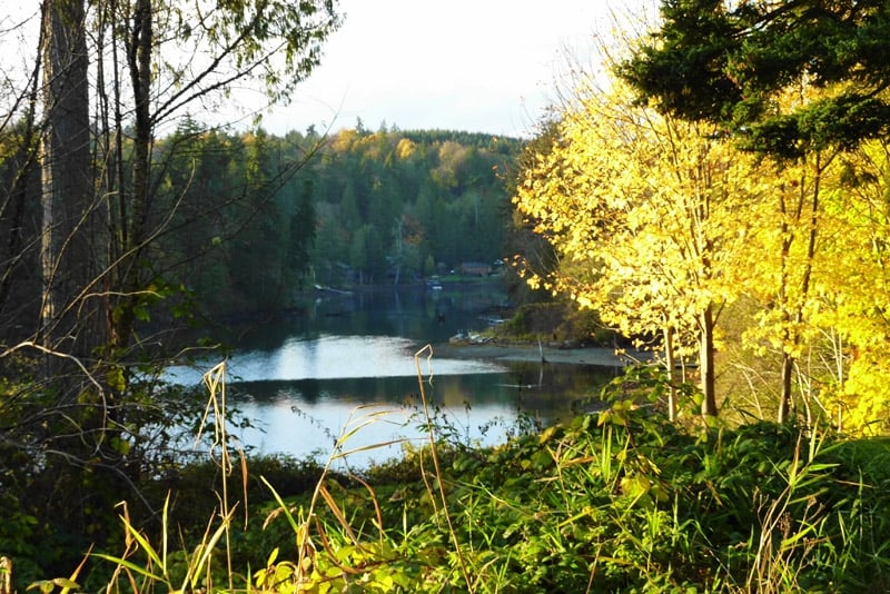 Miller Bay Estates