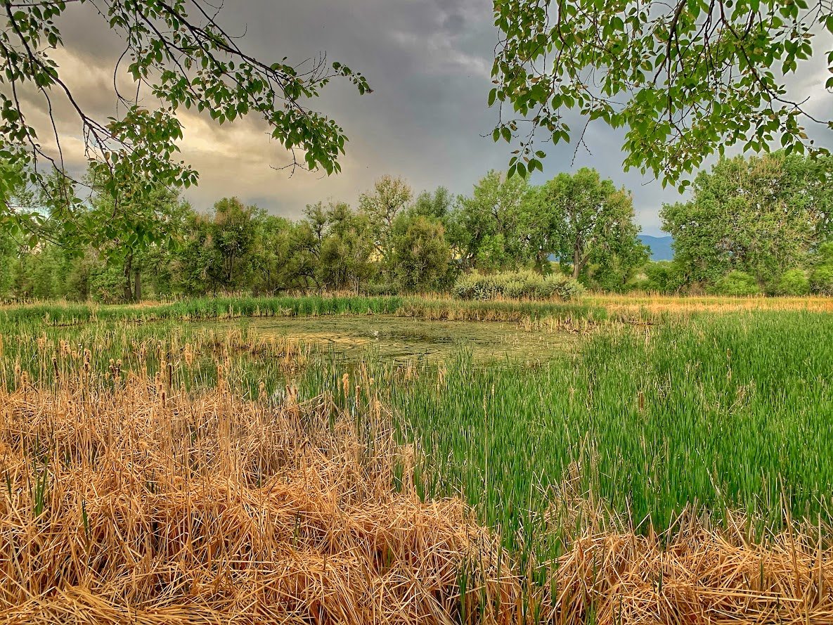 Fountain Creek Nature Center: A Must-Visit Outdoor Escape Near Colorado Springs