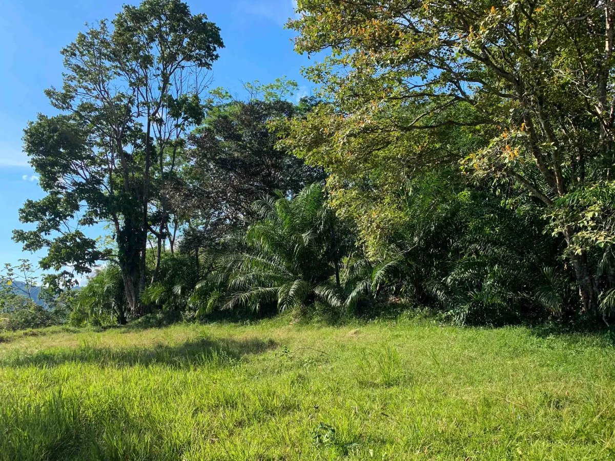 Private 13-Acre Property with Ocean and Mountain Views in San Buenas