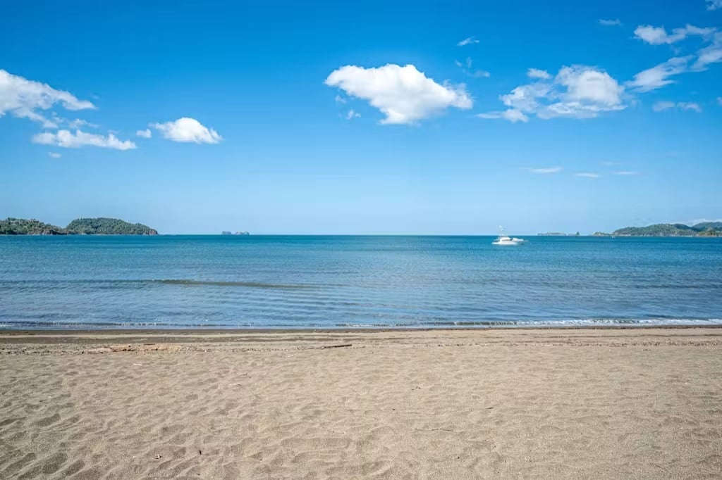 Twin Dolphins 2B | Rarely Available, Fully Remodeled Beachfront Condo with Proven Rental Success
