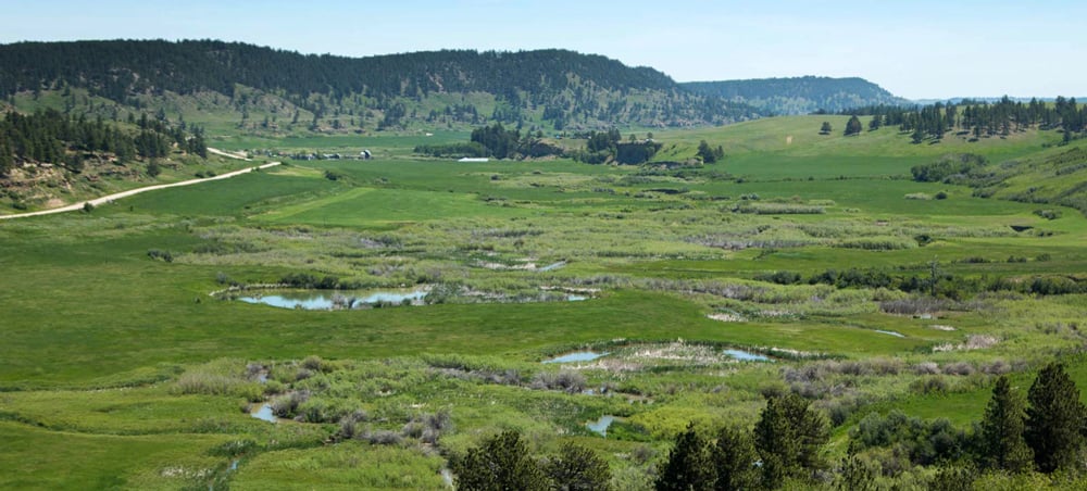 New Hope Ranch