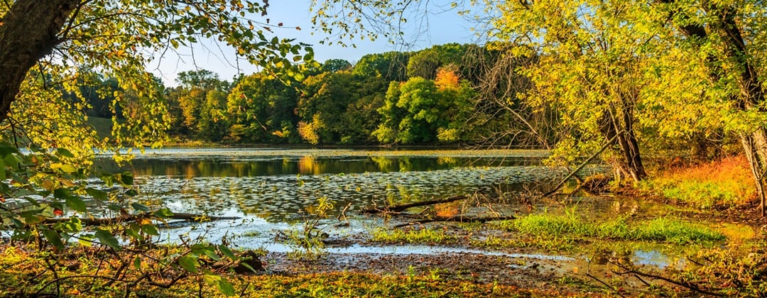 Saugerties
