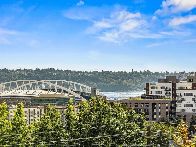 Urban view of a white bridge over water, with leafy trees and buildings in the foreground.
