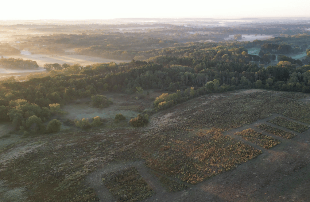 Elliott Crossing in Grant, Minnesota: One of the East Metro’s Most Exclusive Acreage Opportunities