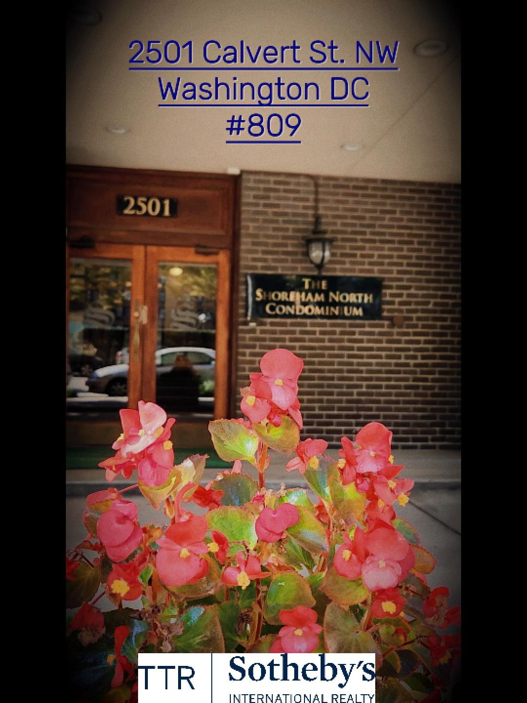 Beating Heart of Woodley Park 