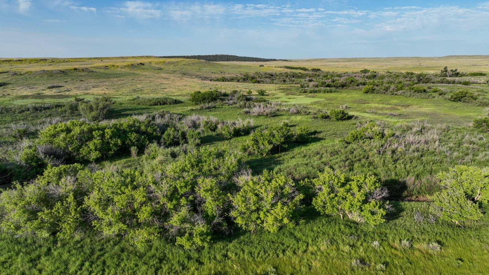 Covey Rise Ranch