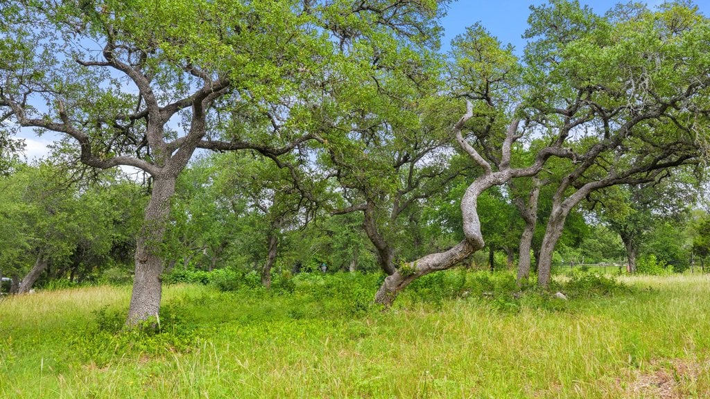 Private 3-Acre Estate in NW Austin- Leander ISD
