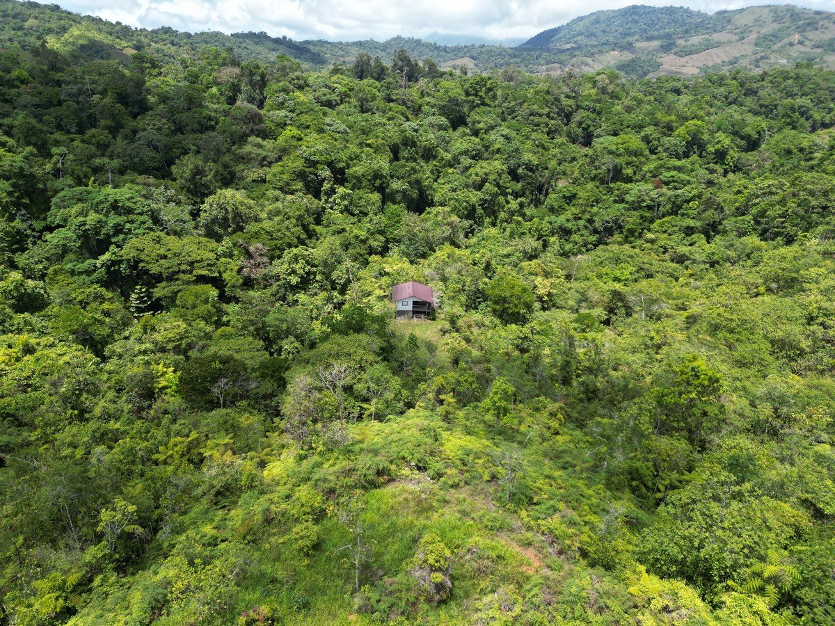 32 ACRES – Mountain Land With Spring, Jungle & Usable Space!!!!