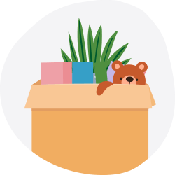 Moving box with a potted plant, colorful books, and a teddy bear.