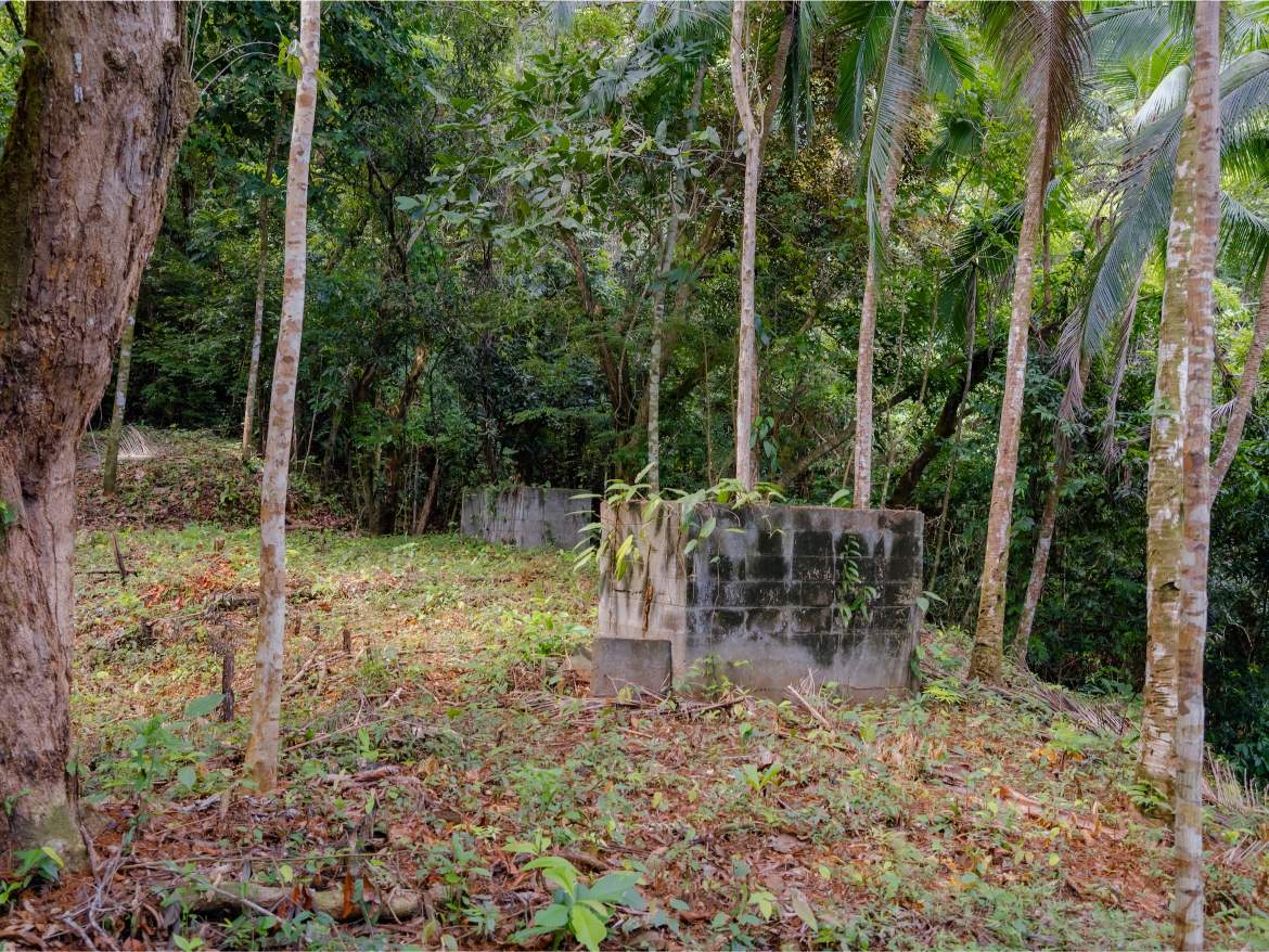 247 Acres of Riverfront Rainforest with Hospitality Potential - Sarangundí Eco-Development Sanctuary Near Corcovado