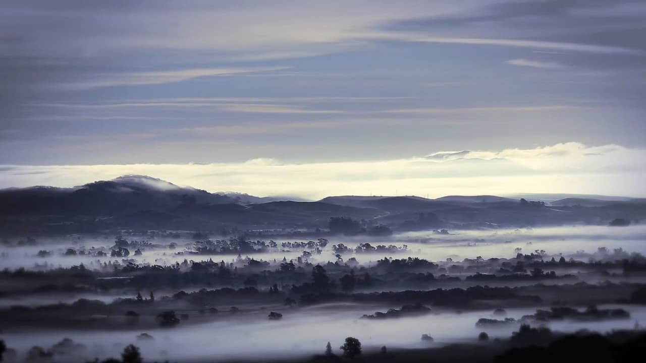 Visit Sonoma (Sotheby Project)