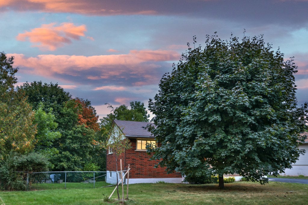 419 Erindale Drive, Burlington 