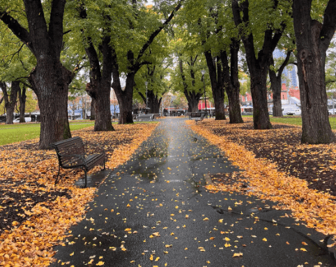 October Real Estate Update