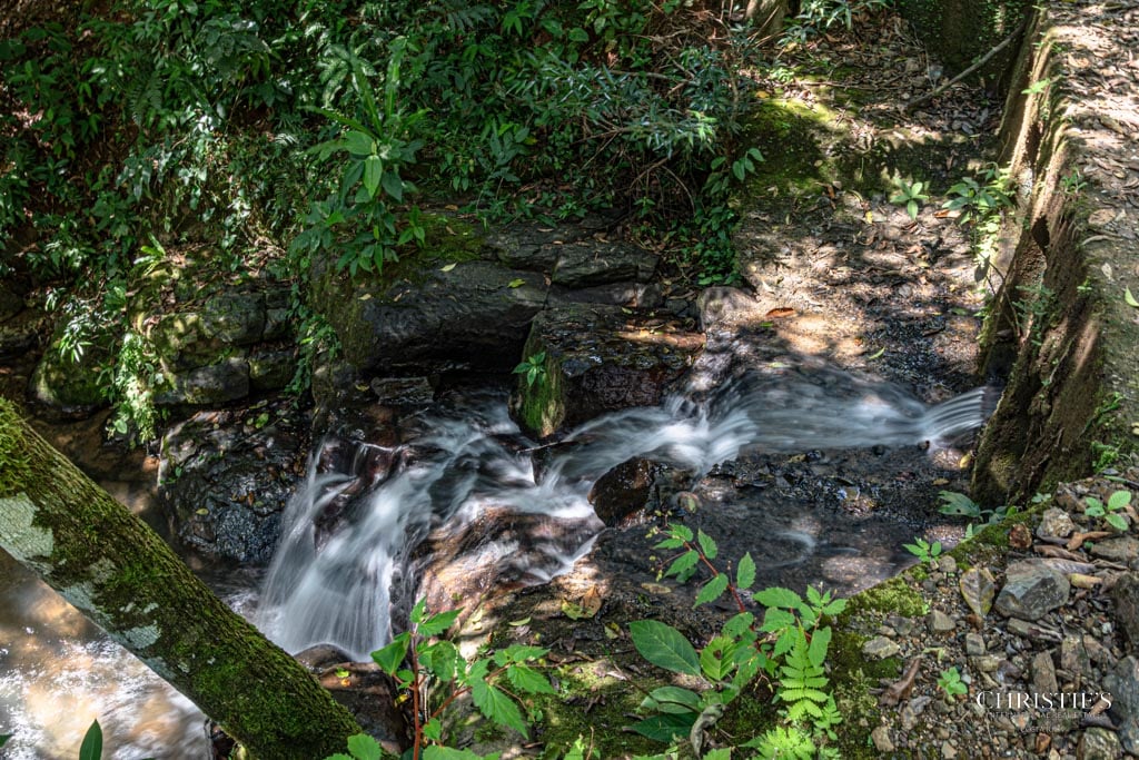 A Rare Thermal-Wellness Development Opportunity - Cacao Estates