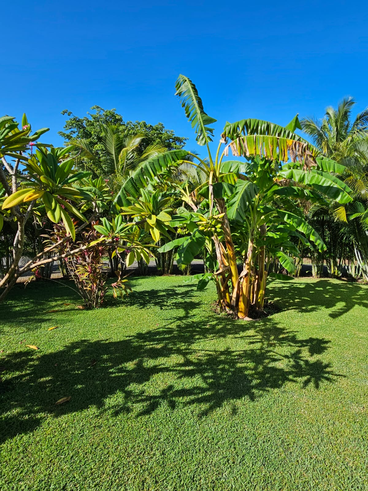 Seahorse Bed and Breakfast Playa Tamarindo