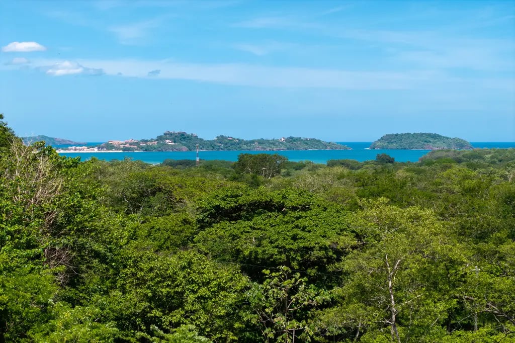 La Marcela Lot 59: Tranquil Jungle Ocean View Homesite in Potrero