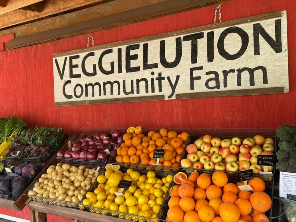 South Bay Area Events this Weekend March 7-8