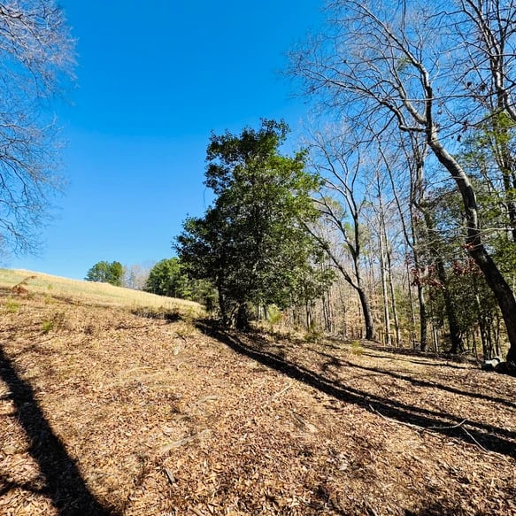 SOLD: The Perfect Property for Your Dream Estate! A Closer Look at the Stunning 14-Acre Estate Near Pelzer, SC