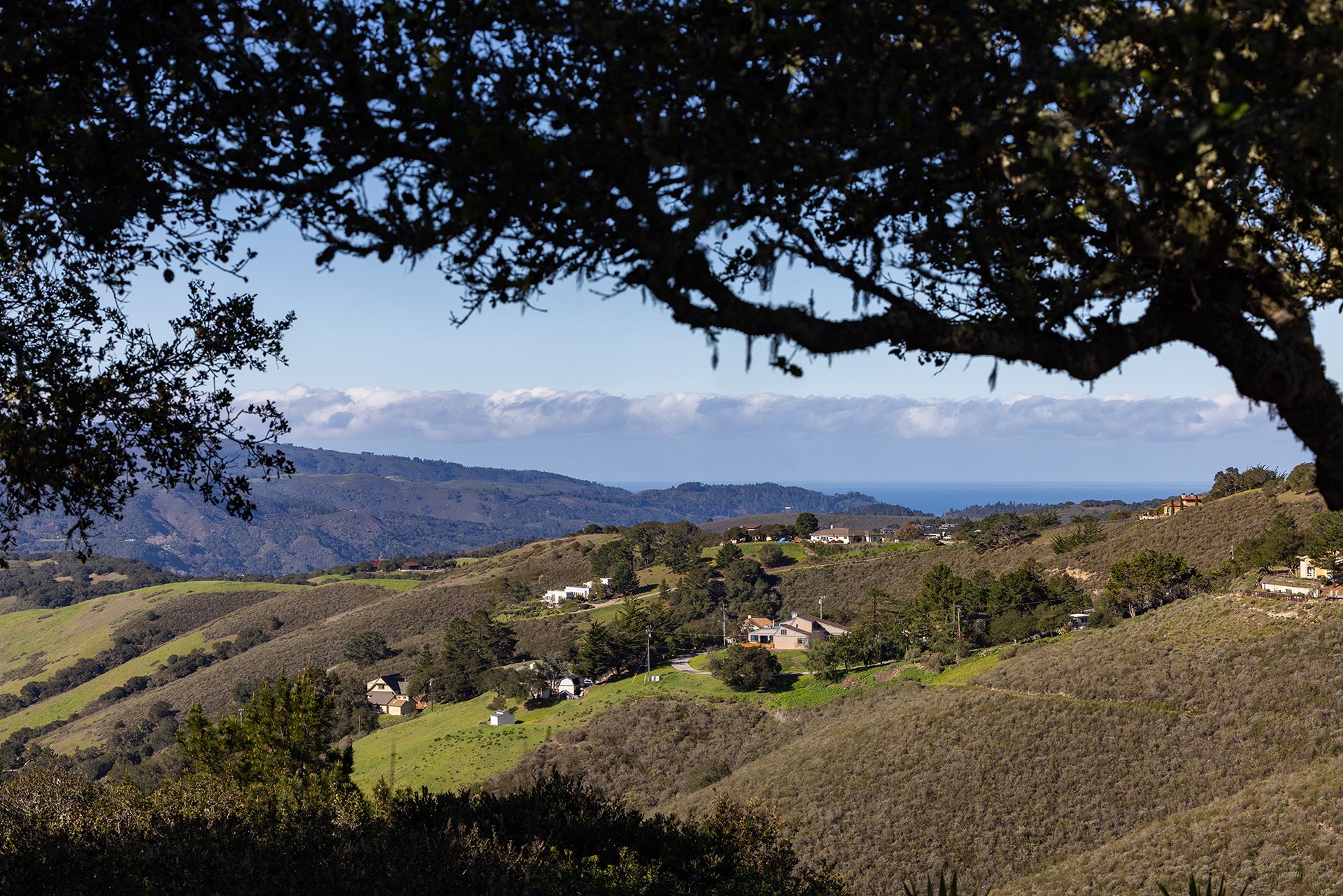 Serene Carmel Valley Living