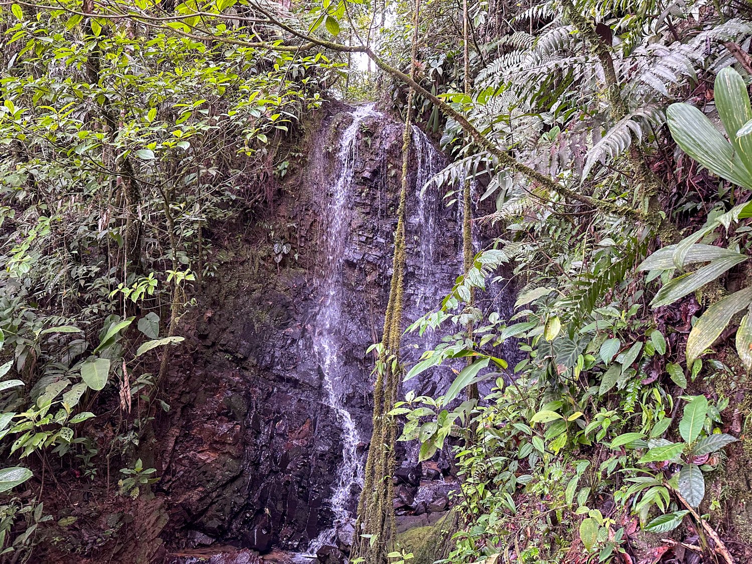 REDUCED! 77-Acre Mountain Paradise with Waterfalls & Epic Views in Santa Elena 