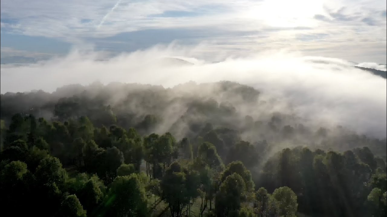 Sprout - The Concept Behind This Conservation Community