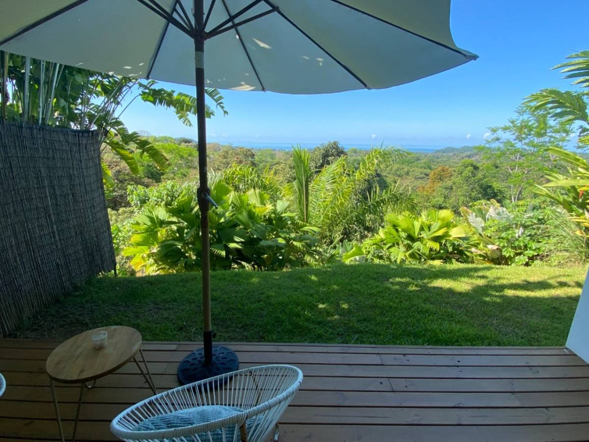 Terra Lodge - Income producing property with two apartments, swimming pool and 1 bedroom home.