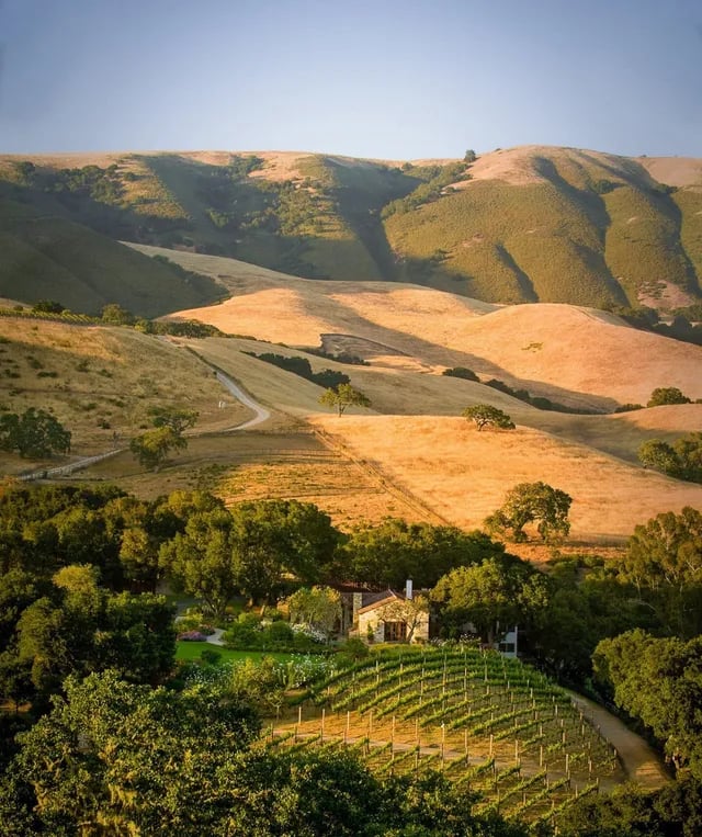Rolling Carmel Valley hills above a vineyard and small building in warm evening light.