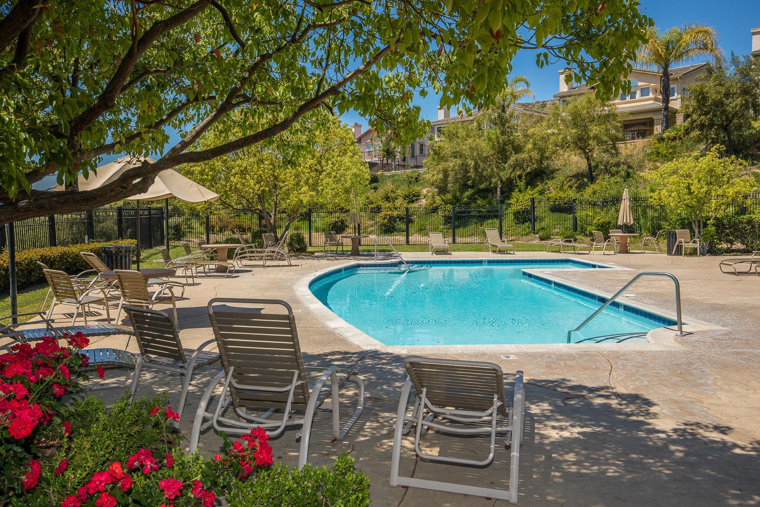 2924 Blazing Star Drive