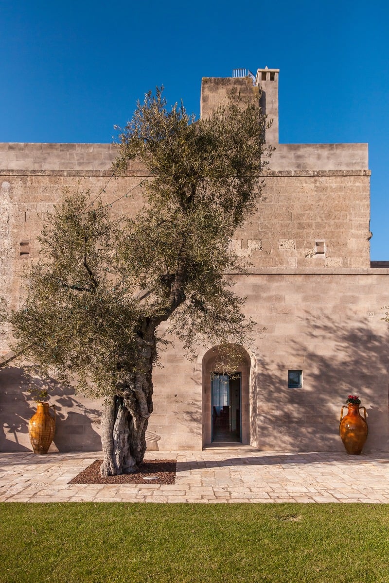 Intimate Villa Surrounded by Olive Trees Near the Town of Fasano