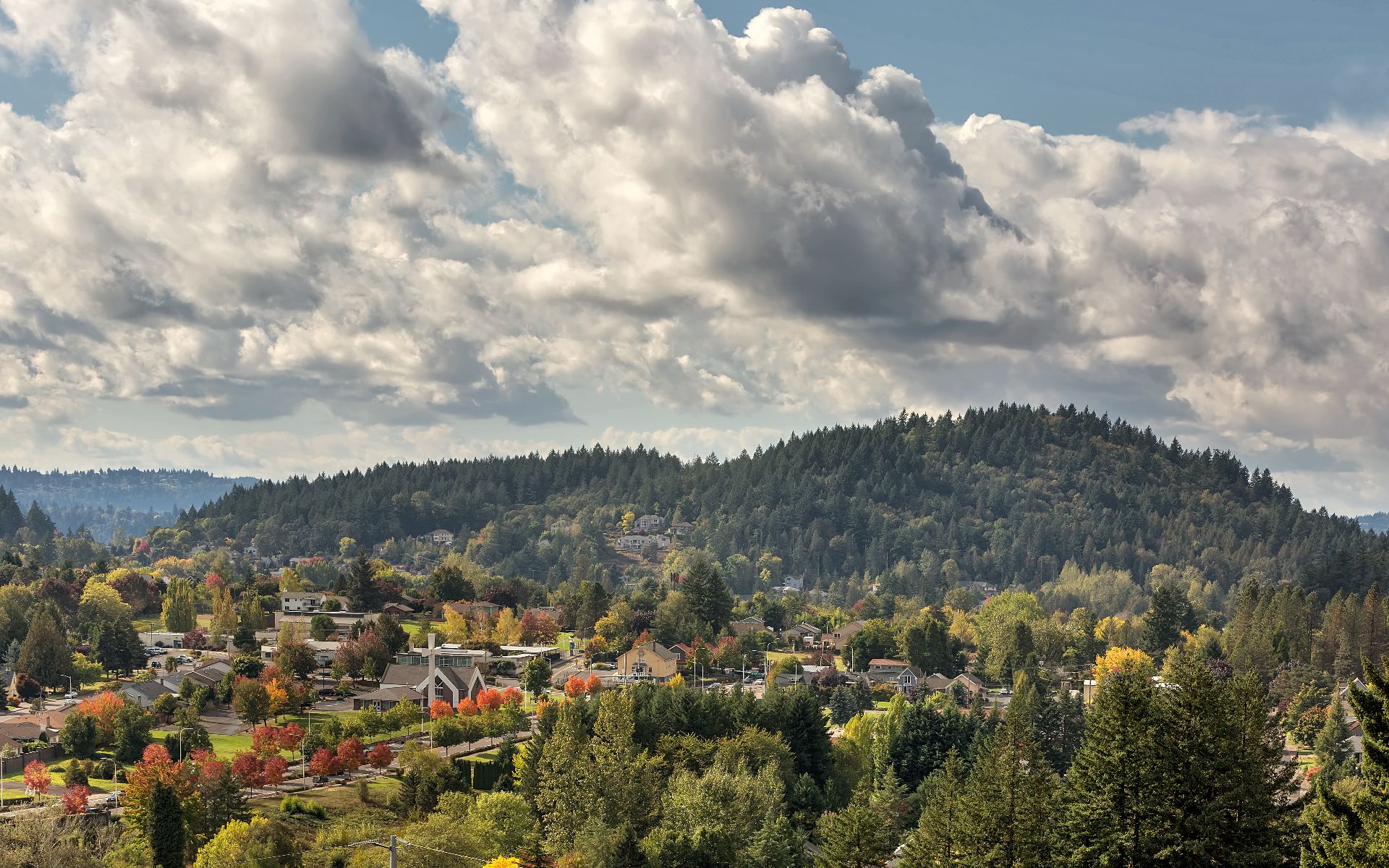 Place Portland Team - Windermere Realty Trust