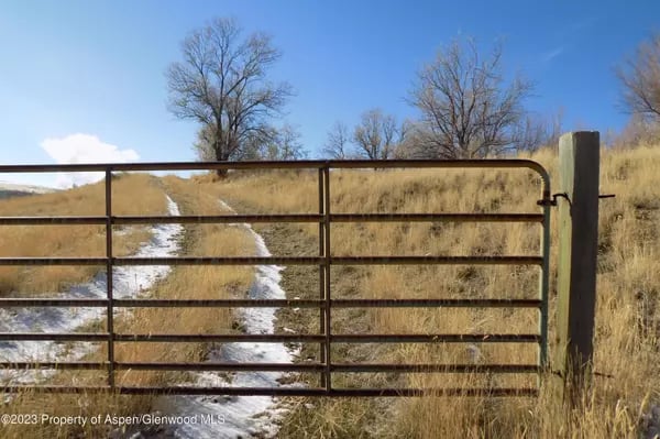 Snow-dusted rural track behind a metal gate, bordered by dry grass and leafless trees.