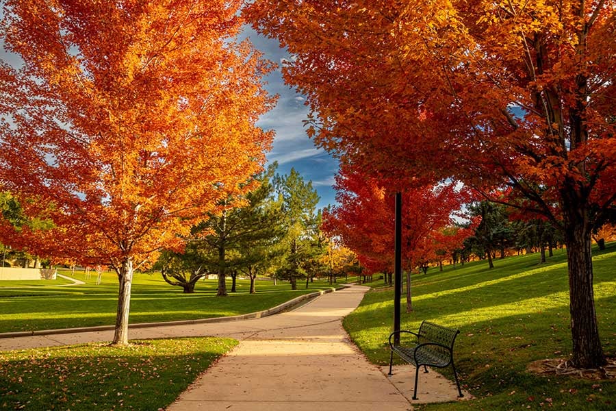 Greenwood Village & DTC