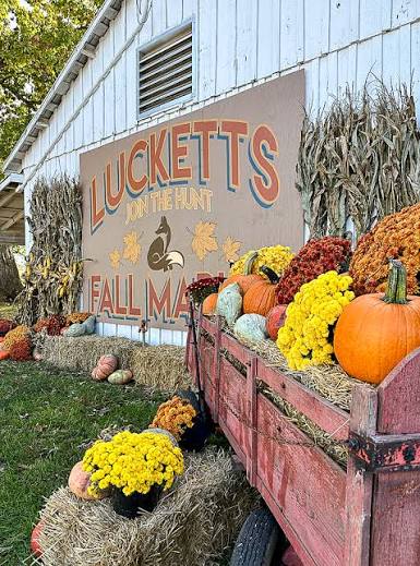 Lucketts Fall Vintage Market