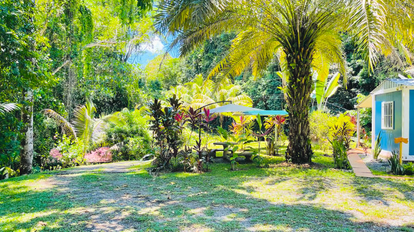 Private Jungle Compound with Modular Home, Guest Cabin & 3 Building Sites in Ojochal, Costa Rica