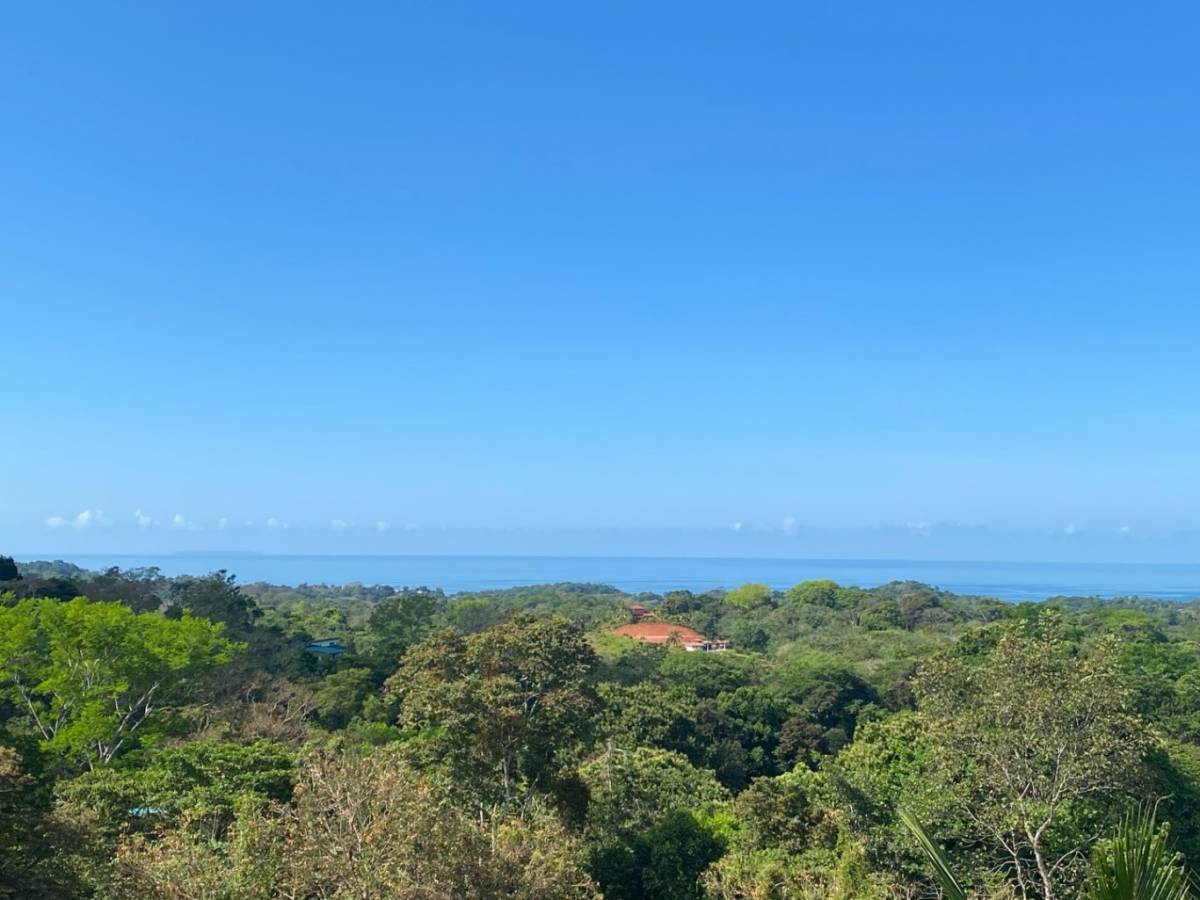 Terra Lodge - Income producing property with two apartments, swimming pool and 1 bedroom home.