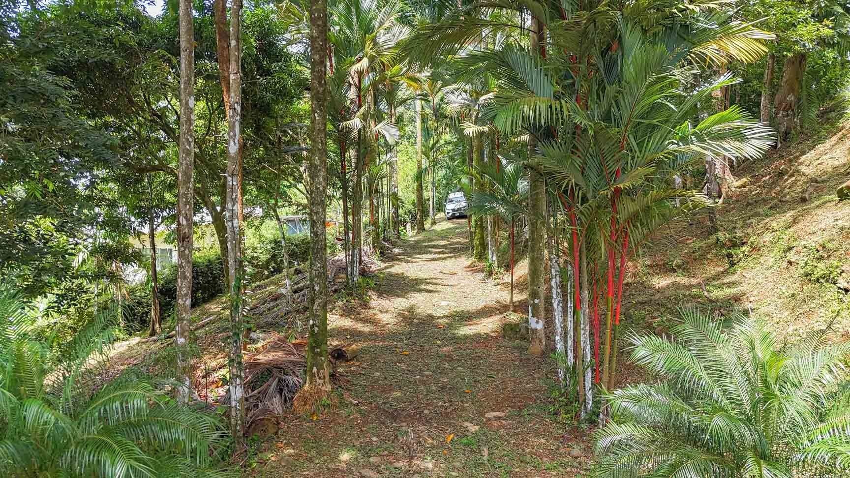 Large Uvita Lot With Whale’s Tail Ocean Views, Sunsets & Legal Water – Ready to Build!