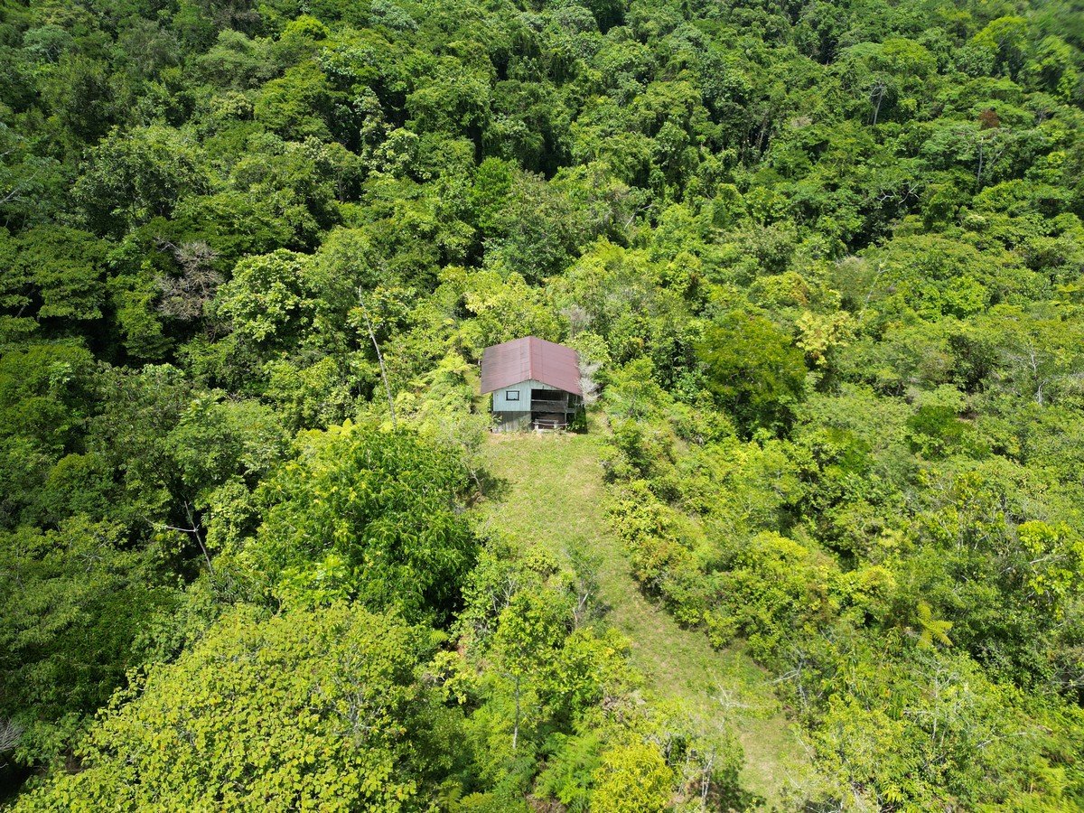 32 ACRES – Mountain Land With Spring, Jungle & Usable Space!!!!