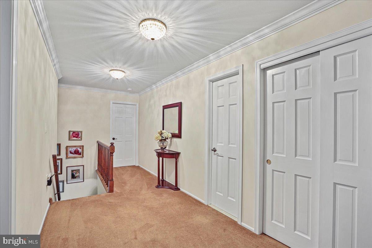 11 Canvasback Rd