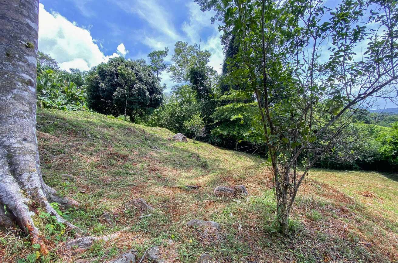 Large Uvita Lot With Whale’s Tail Ocean Views, Sunsets & Legal Water – Ready to Build!