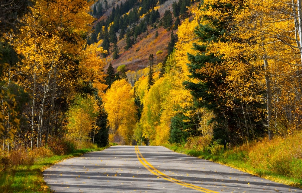 Ride the Gold Wave: Colorado’s Best September Leaf-Peeping Drives