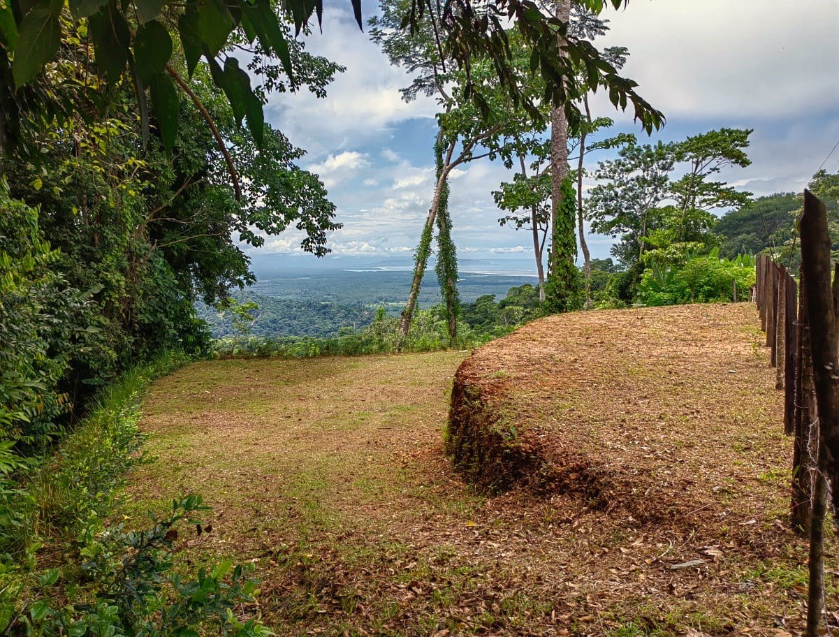 0.46 ACRES – Ocean View Land With Ready To Build Site, 2 Minutes Away From El Pavon Waterfall, Utilities On Site & Virgin Forest!!!