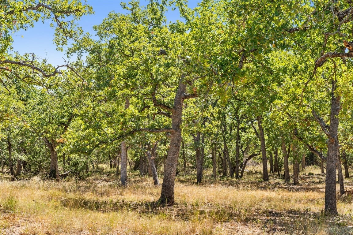 18.145 Acres Herber-schaefer Rd